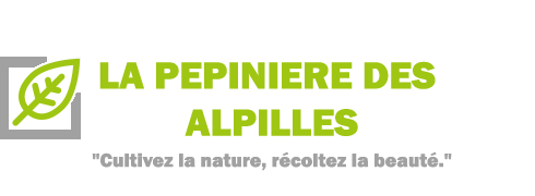 La Pépinière des Alpilles